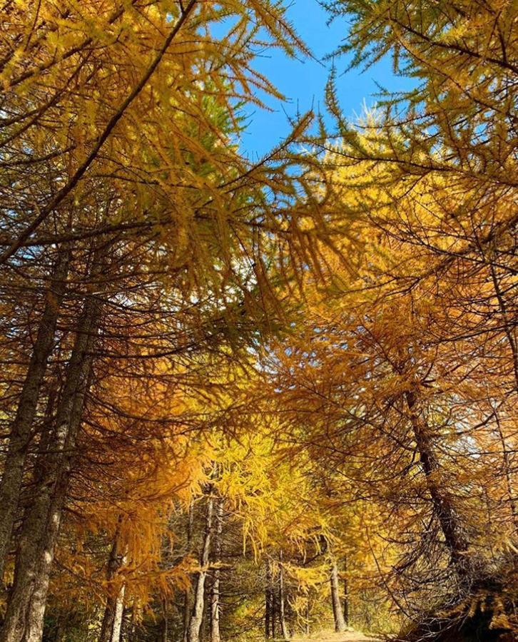 Appartamento Paola Livigno Exteriör bild